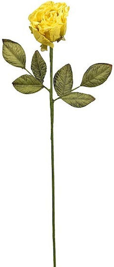 Sucursala Trandafir F2617