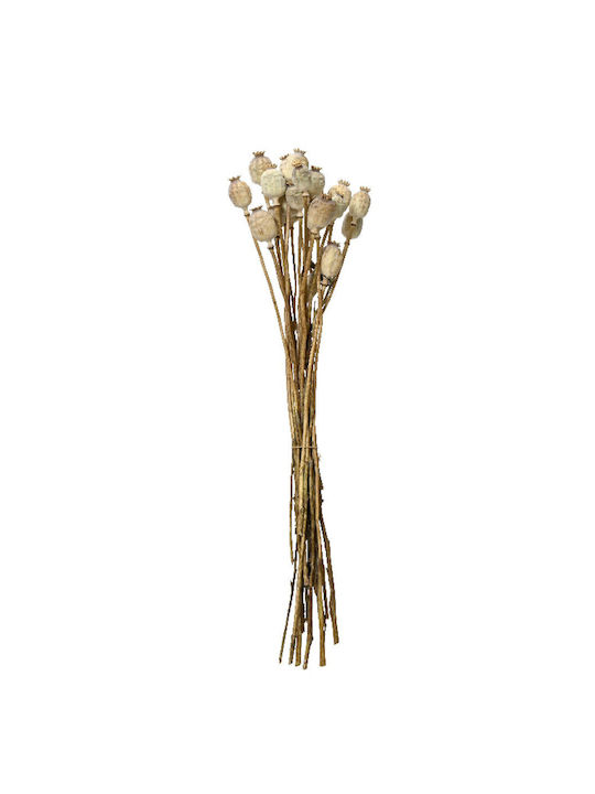 Dried Bouquet 55cm 14x14x55cm Beige Kaeming