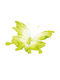 Decorative Paper Butterfly Green-White 90x65cm 157.002.0059.22