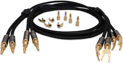 Ludic LUDICHERALOUD2 RCA-Stecker - RCA-Stecker 2m