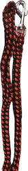 Schweikert Dog Leash Lead Strap Red