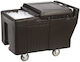 Temno Επαγγελματικό Ισοθερμικό Κιβώτιο 175lt 61x97x75cm