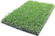 Synthetic Lawn in Roll Lester with 30mm Pile Height Price Per Sq Meter