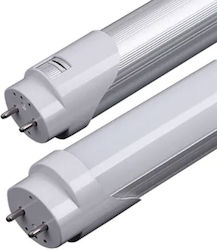 LED Bulb 24W Natural White