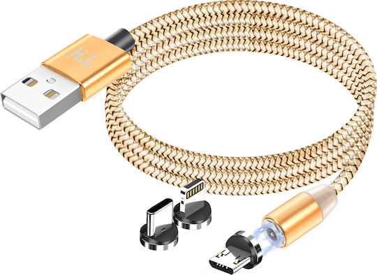 Avizar 3-in-1 Magnetic Cable Usb-c Lightning Micro-usb To Usb-a 1m Gold