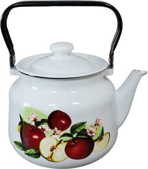 Raki Aromatnai Ceainic Inox Multicolor 3500ml