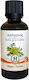 Herbstore Tincture Angelica 50ml