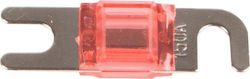Z-mini Anl Fuse Z-mini Anl Fuse