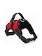 Hundegeschirr Petler Rotes Mittel