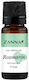 Rosmarinöl 10 Ml Zanna