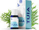 Thuja Essential Oil 10ml
