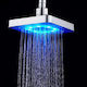 Showerhead
