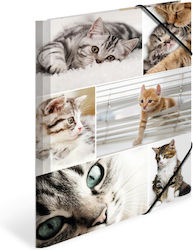Herma A4 Cat Themed Folder – Cardboard – Elastic Straps – 3 Flaps