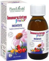 Plantextrakt Imunorezistan Imunitate Junior 125ml Coacăze Negre