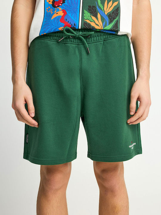 Funky Buddha Sports Men's Green Shorts