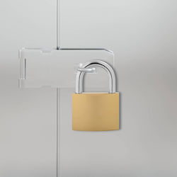 vidaXL Brass Padlock Horseshoe with Key 106mm