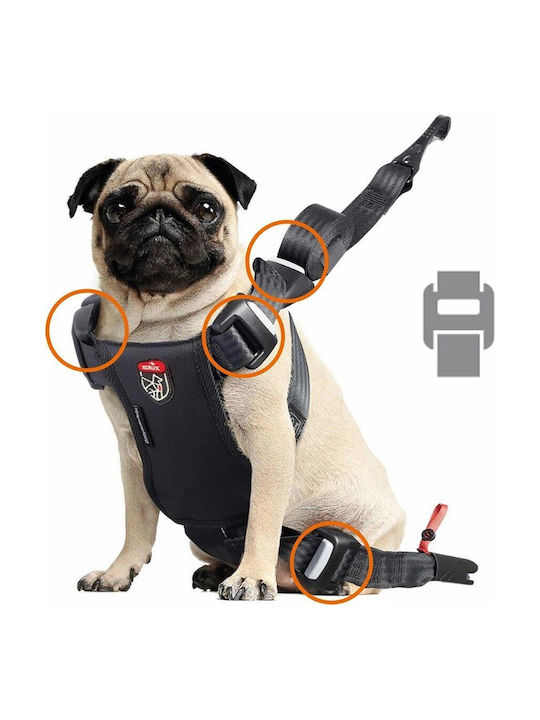 Zolux Reise Sicheres Rotes Hundegeschirr