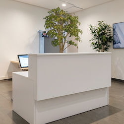 Bancă Modernă Albă Recepție 160x80x105cm