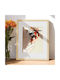 Plastic Photo Frame With Transparent Frame