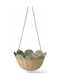 Kaemingk Hängendes Pflanzentopf Grün 30x30x15cm