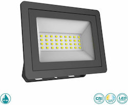 Spot Light 604 Spot Light 604