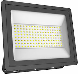 Spot Light 604 Spot Light 604