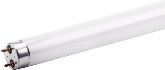 Leuchtstofflampe Led 18w T8 120cm Glas G13 Kaltweiß 6000k 1 Seite