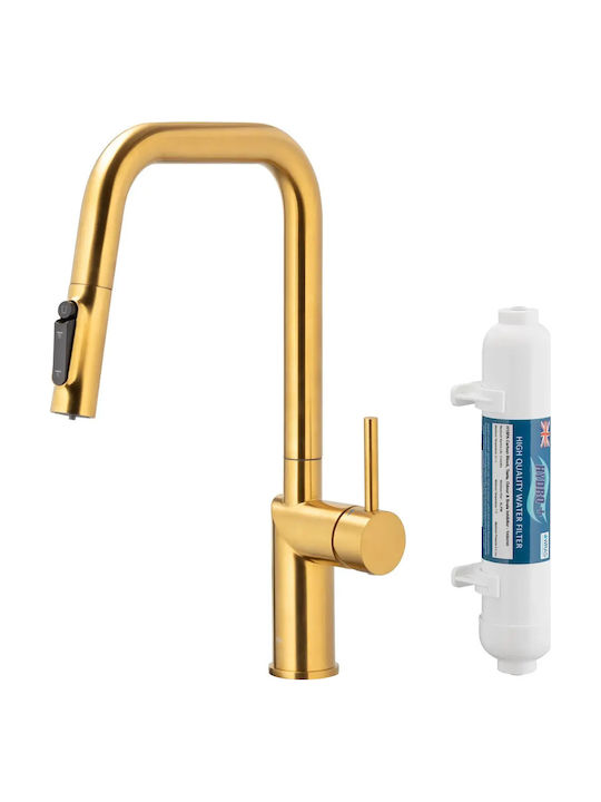 KFA Kitchen Faucet Counter with Shower Gold