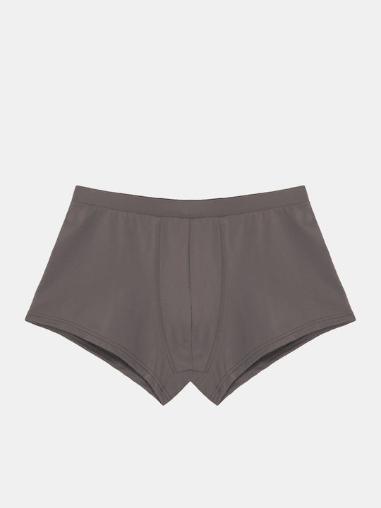 Men's Swimwear Shorts Gray