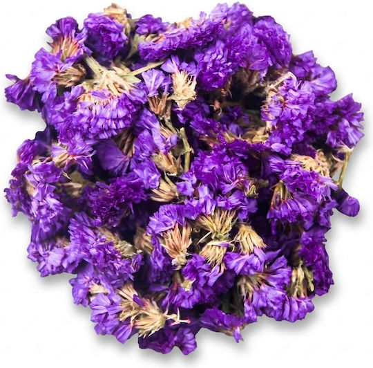Αποξηραμένα Λουλούδια Forget-me-not 30gr Ρητίνη Κοσμήματα