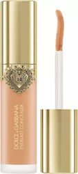 Dolce & Gabbana Everlast Liquid Concealer 11ml