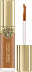 Everlast Liquid Concealer 31 Medium Deep 11ml