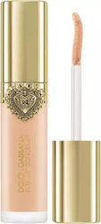 Everlast Liquid Concealer 09 Light Medium 11ml