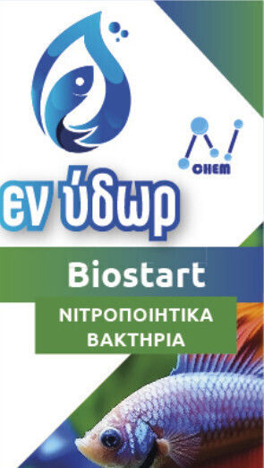 En Ydro Biostart Nitrifying Bacteria Aquarium Water Treatment 80ml