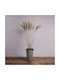Globostar Miscanthus 36539 Dried Miscanthus Plant Bouquet of Decorative Beige Branches H140cm Set of 10 Pieces