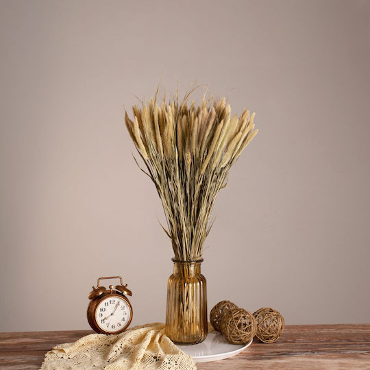 Globostar Pennisetum 36503 Dried Pennisetum Plant Bouquet of Decorative Branches Beige Green Height 60cm Set of 100 Pieces
