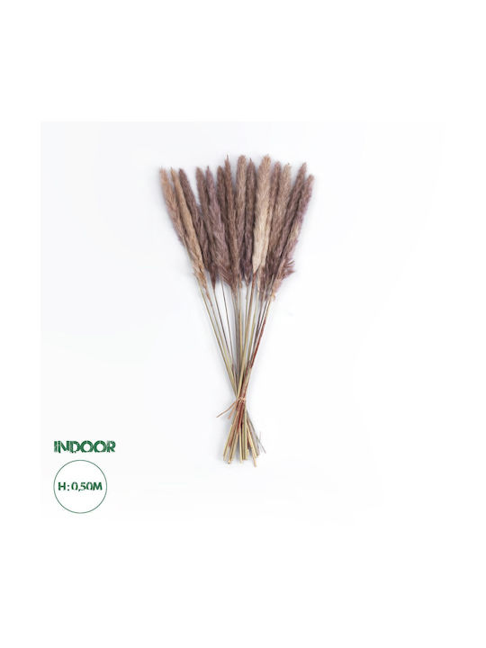 Globostar Artificial Garden Real Dried Brown Pampas Grass Bunch 21215 Αποξηραμένο Διακοσμητικό Μπουκέτο Pampas Kάφε Y50cm Σετ 15 Τμχ