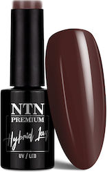 NTN Premium Gel Nail Polish 112 5g