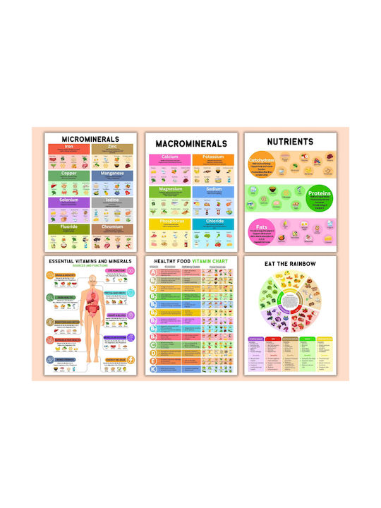 Set 6 A4 Poster Ernährung – Vitamine Mineralien Makronährstoffe Gesunde Ernährung Anleitung Bildungskarten Gesunde Lebensmittel