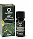 Dr Retter Ulei Esențial Eucaliptus 10ml