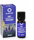 Dr Retter Αιθέριο Έλαιο Λεβάντα 10ml
