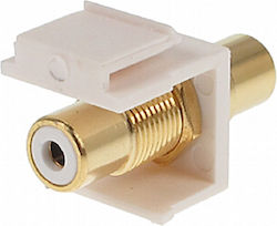 Lta Keystone Fx-c1 Βυσμα Rca Θυληκο-rca Θυληκο Λευκο
