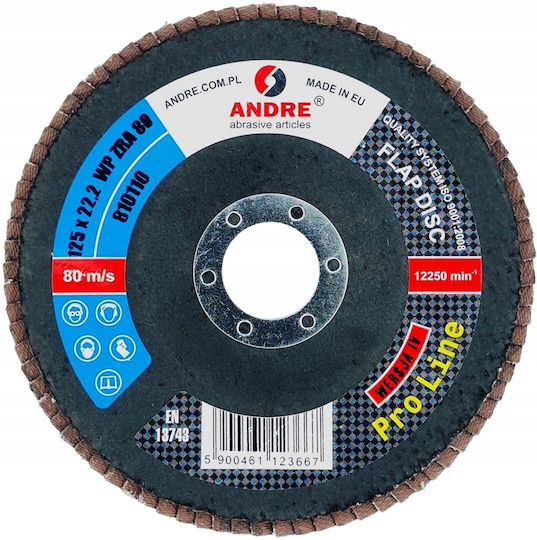 Andre Flap Disc 125mm P 80 Zirconium Pro Line Version Iv