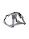 Barry King Harness Hundegeschirre Grau Mesh L Halsumfang 52-73cm Brustumfang 61-81cm