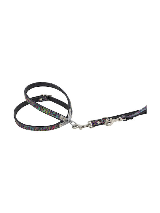 Leder Hundegeschirr Laser L-xl 16mm/55cm