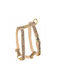 Dog Harness Wild Tiger Beige Leather Brass M 16mm/neck Circumference 30-50cm Chest Circumference 40-70cm