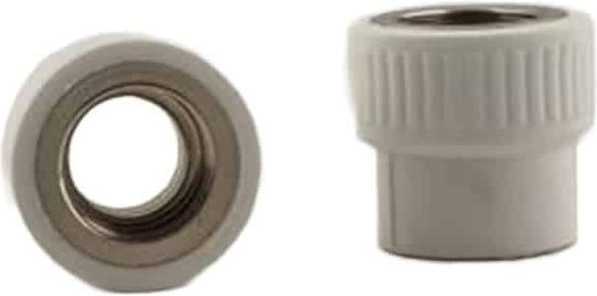 Conector Ppr Filet Interior 20mm 1/2 Inch Z-tools Ext7029