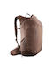 Salomon Trailblazer 20 Туристическа Раница 20л Кафяв Daypack
