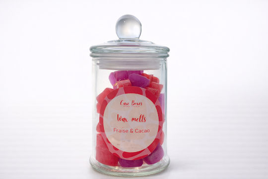 Home Fragrance Wax Melt Green Whisper With Chocolate Perfume HWM0003-4