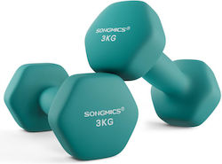 Songmics Βαράκι 1 x 3kg